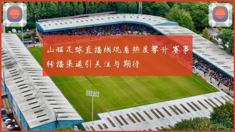 山猫足球直播线观看热度攀升 赛事转播渠道引关注与期待