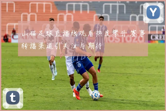 山猫足球直播线观看热度攀升 赛事转播渠道引关注与期待