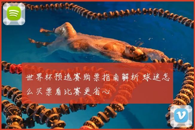 世界杯预选赛购票指南解析 球迷怎么买票看比赛更省心