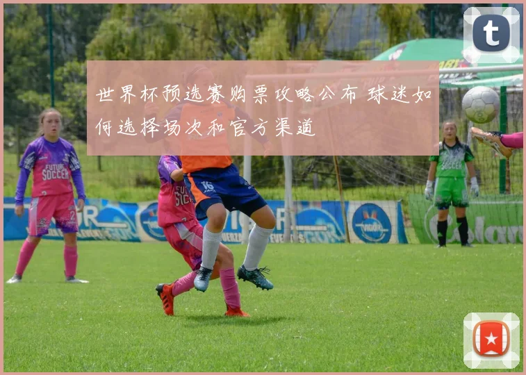 世界杯预选赛购票攻略公布 球迷如何选择场次和官方渠道
