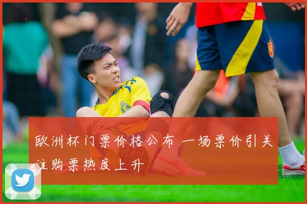 欧洲杯门票价格公布 一场票价引关注购票热度上升